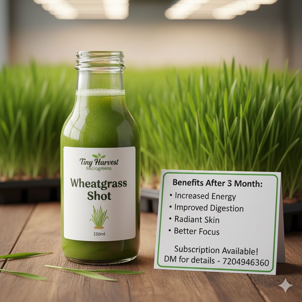 Key Benefits of Wheatgrass Juice (Empty Stomach - Morning)