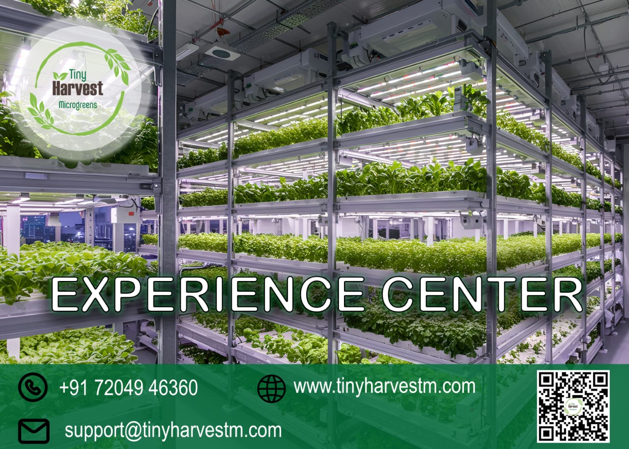 Experience Center